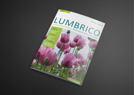 Lumbrico Cover_2-2018