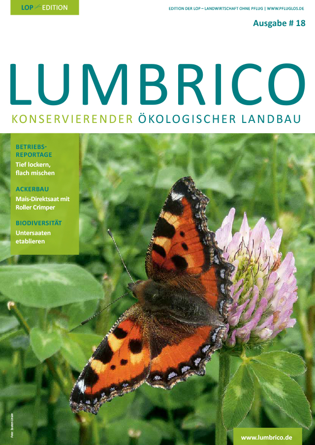 Lumbrico #18 Mai 2024 Cover